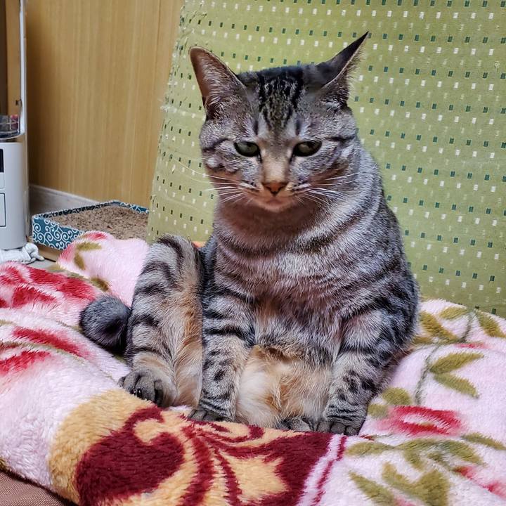 7fdca349 dc23 4cce b2d4 c54066a07c94 1703263241668