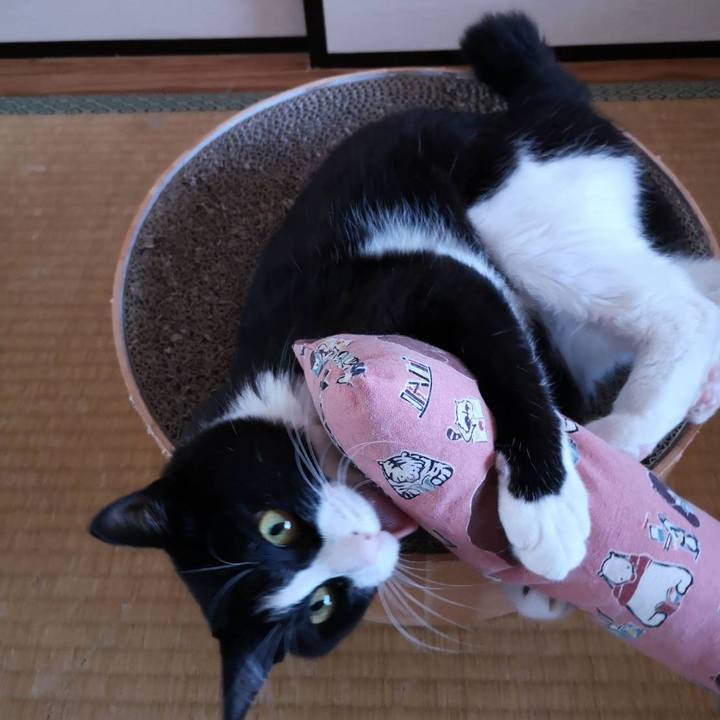 7fdcbed1 fe78 455f b5a3 ac2f66263d90 1626839549745