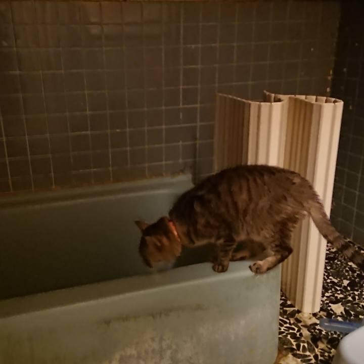 7fdcc5c2 315e 40cb b149 f2e06ae49a5b 1580202464084