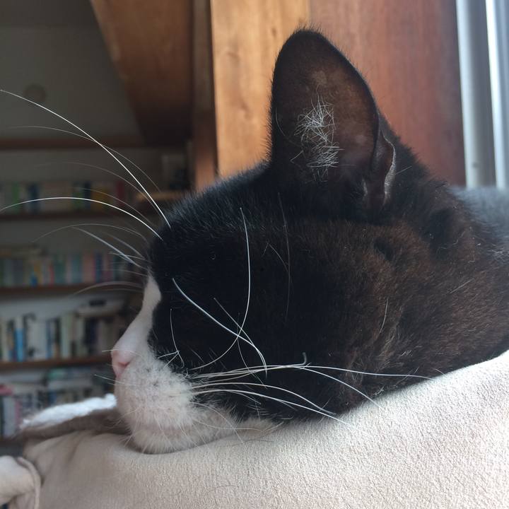 7fdcc6c5 3ada 4159 b118 0ffe1cdc7e68 1539648117731