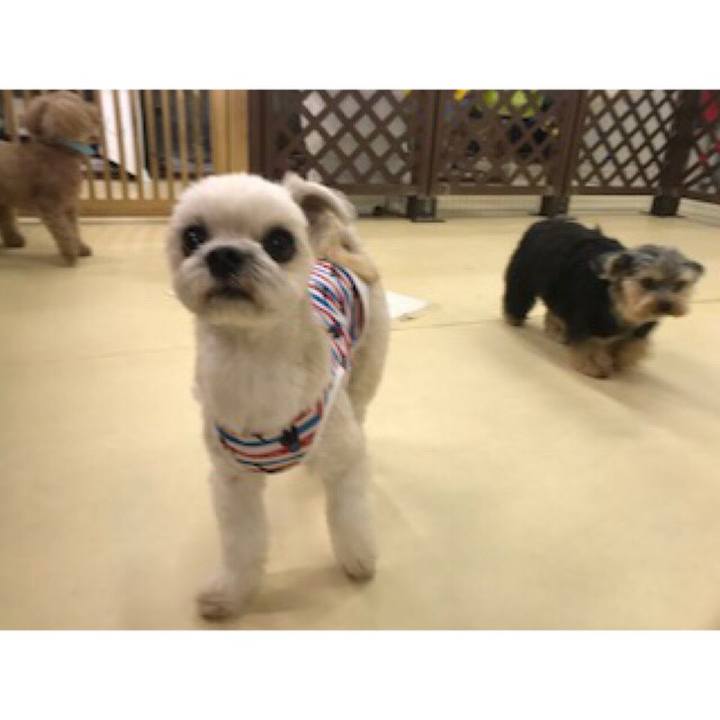 7fdcca34 f18c 4a8e 9e4d a3d17ad1e541 1539339974426