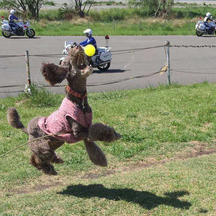 7fdcf678 9082 4bc5 8f3d 6eeb0113c667 1525189472241