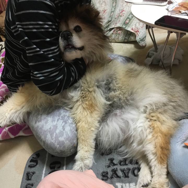 7fdd4213 5c7b 40a7 8b50 86df9a9aa19a 1603572247575