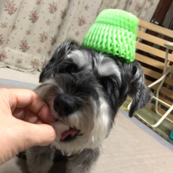 7fdd4f21 b256 4714 853c fd16811abe16 1661603146554