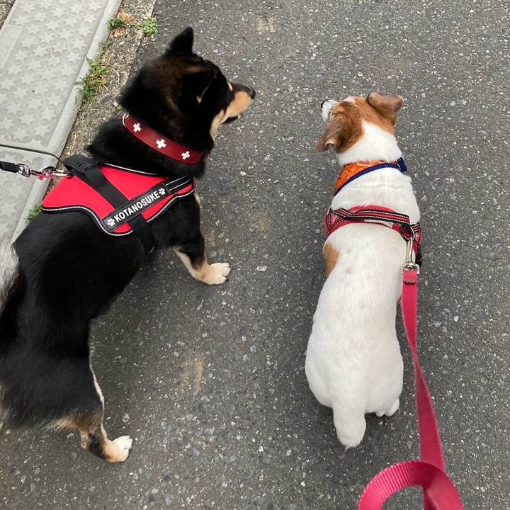 7fdd4f81 d59c 410e 9328 cbc93f0221f3 1719483763805