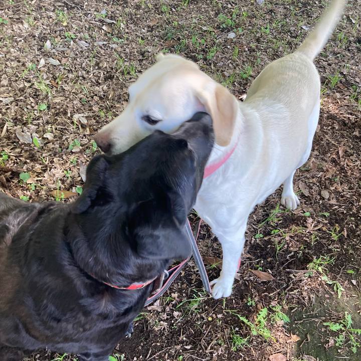 7fdd5f48 0dbb 4a09 862a 4b3491eb10b9 1753571451772