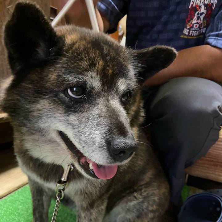 7fdd796b 7afd 433f 858b f1c989dd5daa 1654946411953