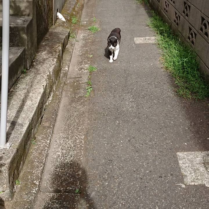 7fdd89ea 436a 4b8d b0b1 636f5dce38d5 1691725962146