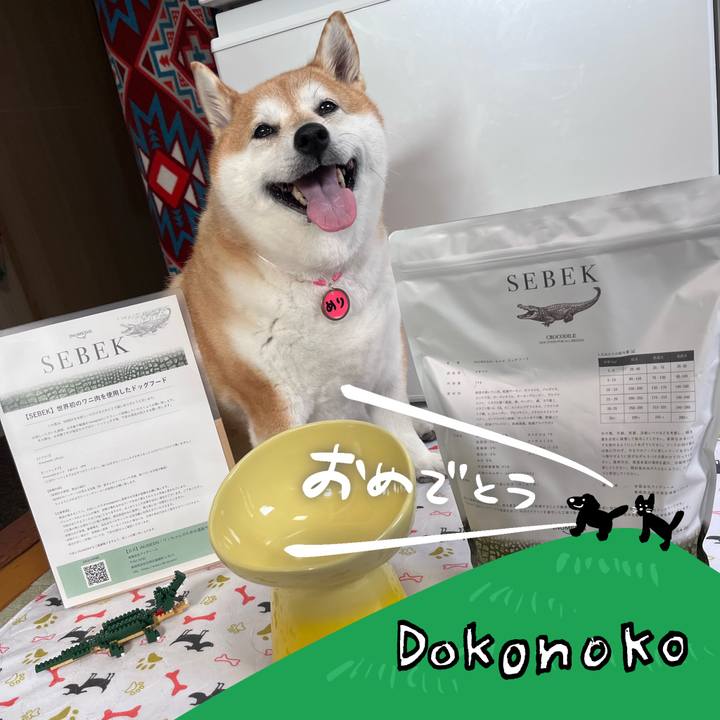 7fdd8f75 651c 4d8e b09c e2285ff2f5f7 1685931330643