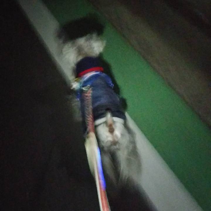 7fdd9177 3b3e 4c20 ab7b 38a8cf276a50 1642213829775