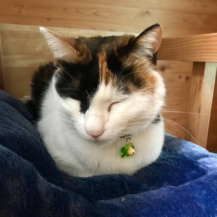 7fdd9d74 23e6 4f05 8e04 1c1f1df29ceb 1520475206503