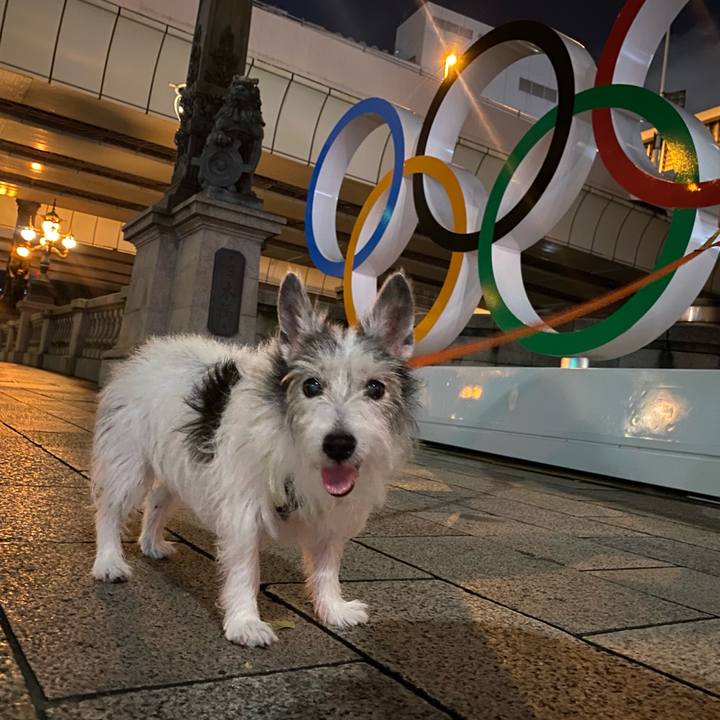 7fdda598 5b74 4d8d 8a06 d0aaa5b231de 1626867445137