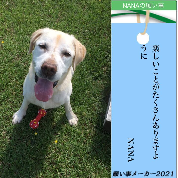 7fddbff6 425b 472f 82e7 0c5002170bd5 1625561639746