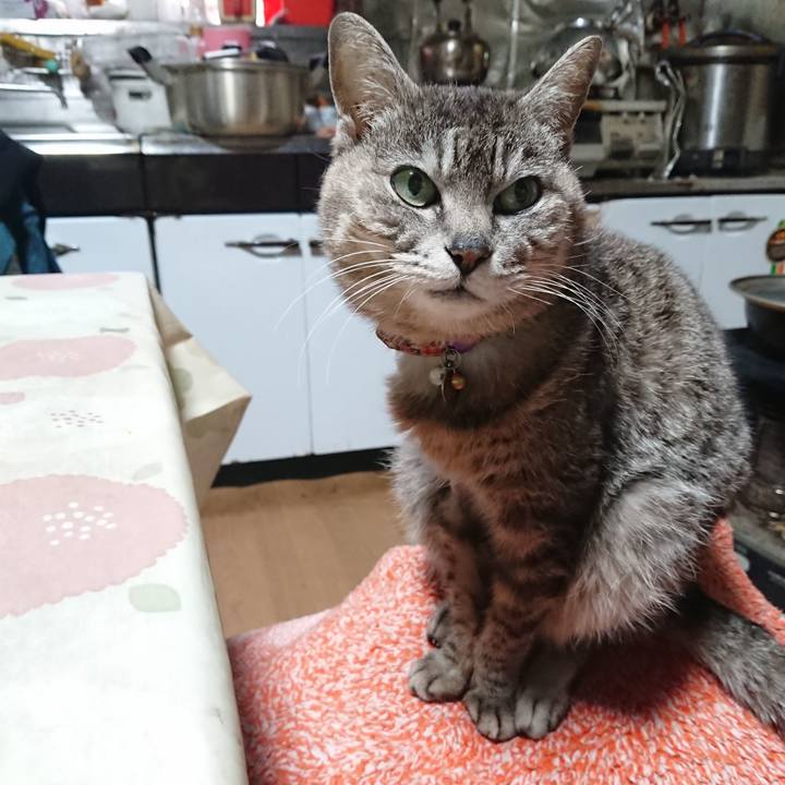 7fddfdec 1060 4edd b245 0b45c59aae48 1588450137794