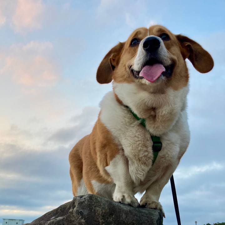 7fde4098 4cd6 44c7 974e 670071cba3e4 1736126810384