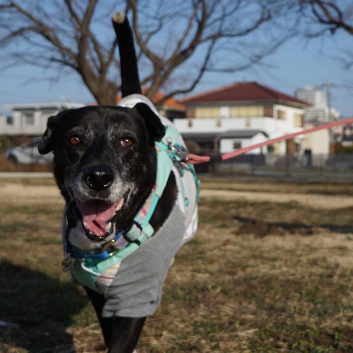 7fde58bb b3be 44e5 aa78 9877c100e233 1771117695007