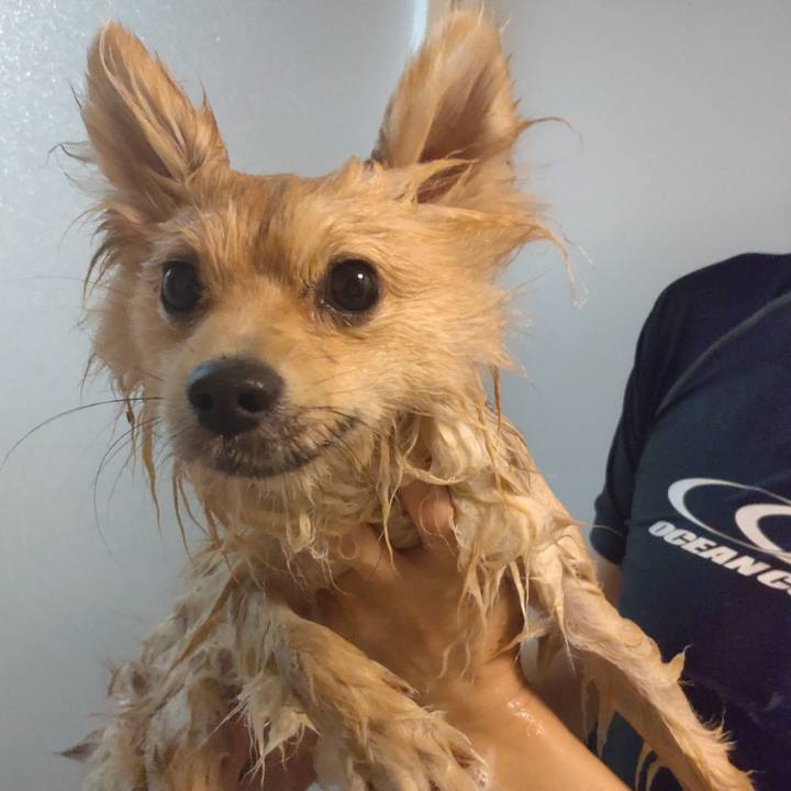 7fde5e6e 401a 4c5f 8dc3 a19073fda701 1745892499997