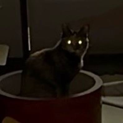 7fde759e 3c39 4c05 b61e 6eb94fd26fe4 1751057221840