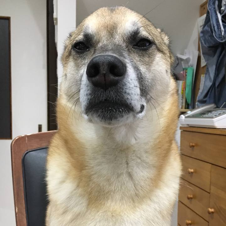 7fde7e57 3ec6 420a bb00 5a13d160f538 1515327649562