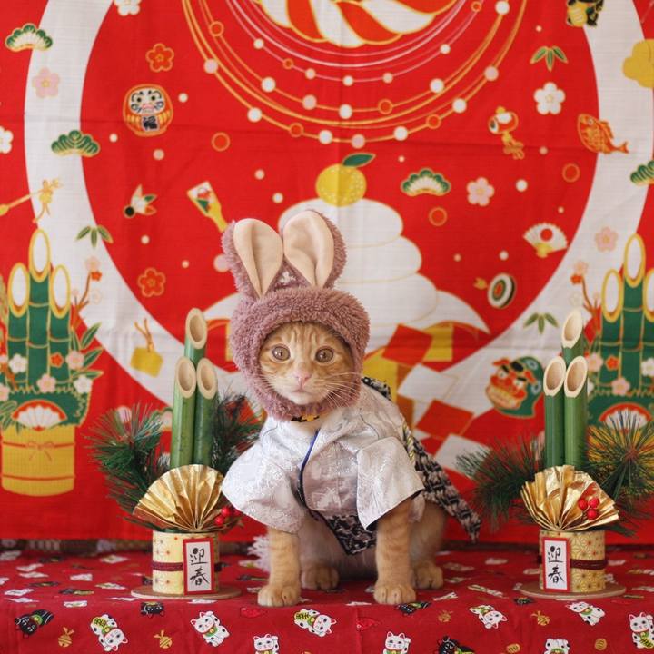 7fde9c87 65ef 47cc 862d b924627f6a24 1672468499255