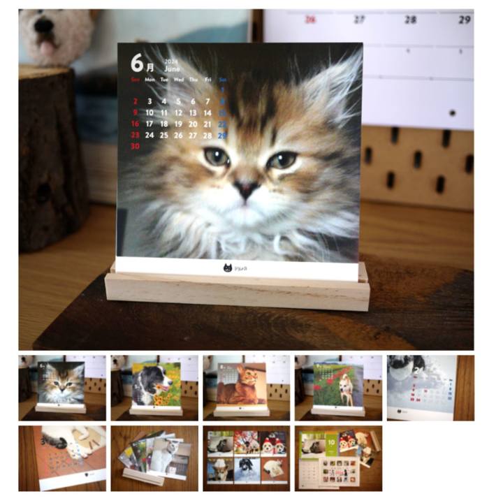 7fdeaaf8 0053 4f53 84f0 72dd79f6171c 1707400724814