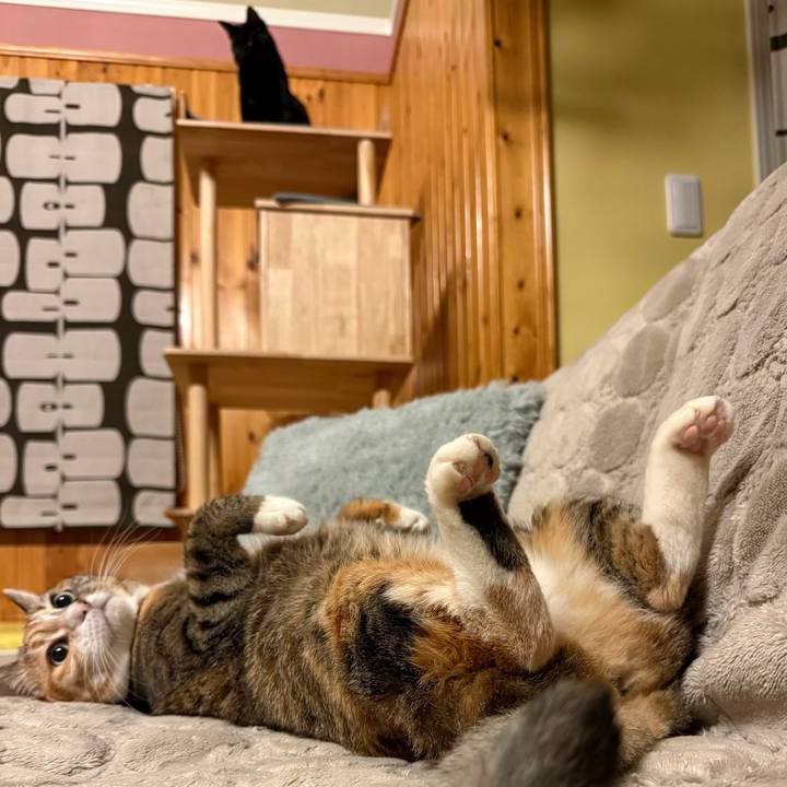 7fded7bc 734f 431a adee 4abea0ee11c4 1772796613217