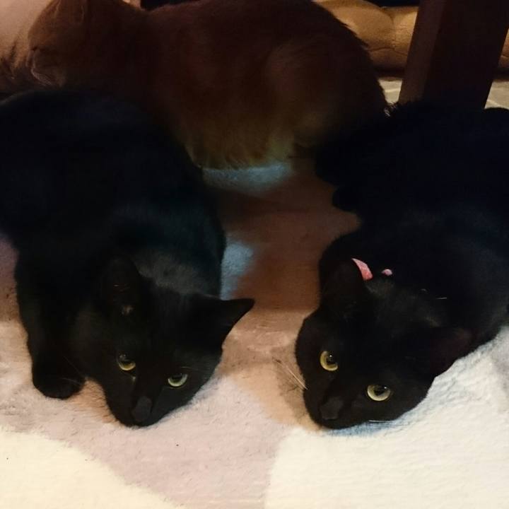 7fdf004b 9247 4dc9 8430 73897996fca4 1518480013039