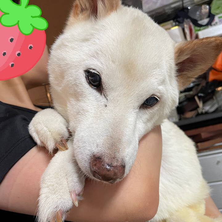 7fdf0cff 2fa6 4e30 adc9 5b1442faab4b 1659014128730