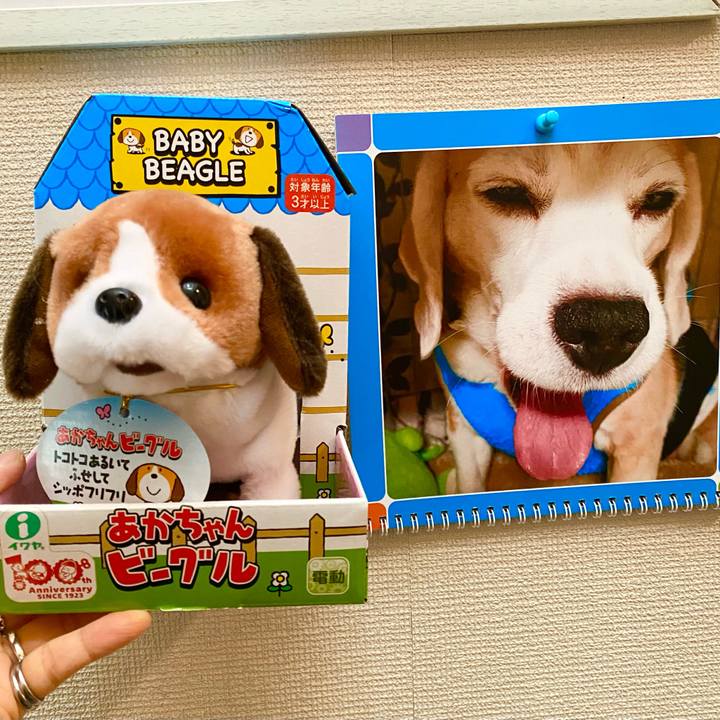 7fdf17b6 5aaf 43f1 84db 2afa190bd54e 1736834149983