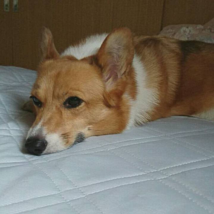 7fdf1b90 6a86 408a bb5d d83c986b0fb7 1530147828558