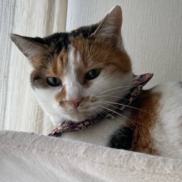 7fdfb98d a62e 4a61 a26d 63edb99050ab 1764632213900