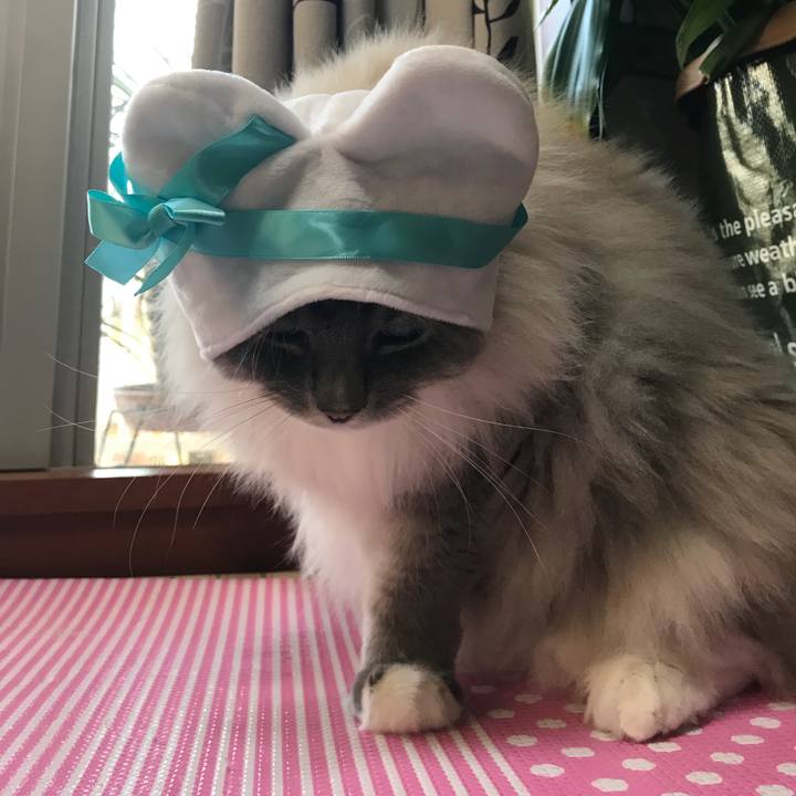 7fdfc67b 30ae 4d40 941a ab83daa4ace8 1518612650795