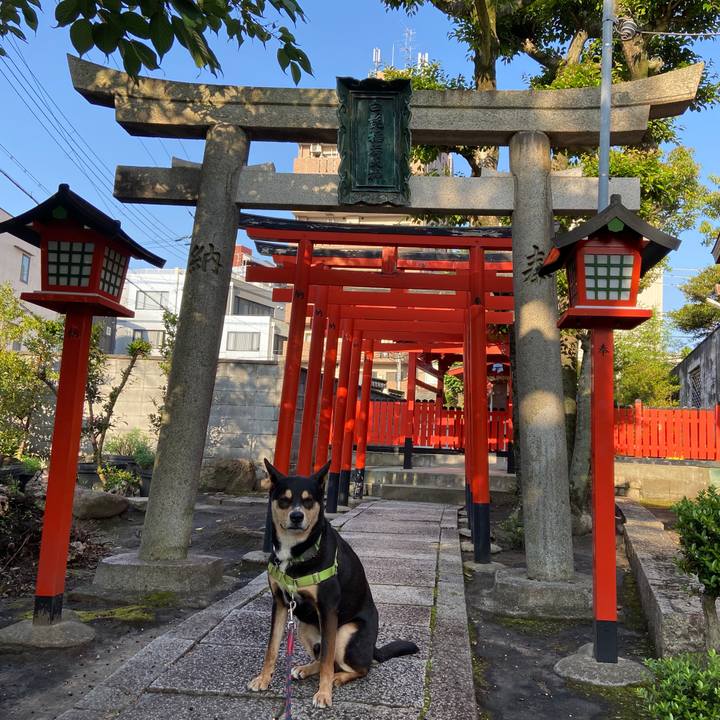 7fdffc63 27f3 4cc2 b7f0 34d64476bf39 1622257234250