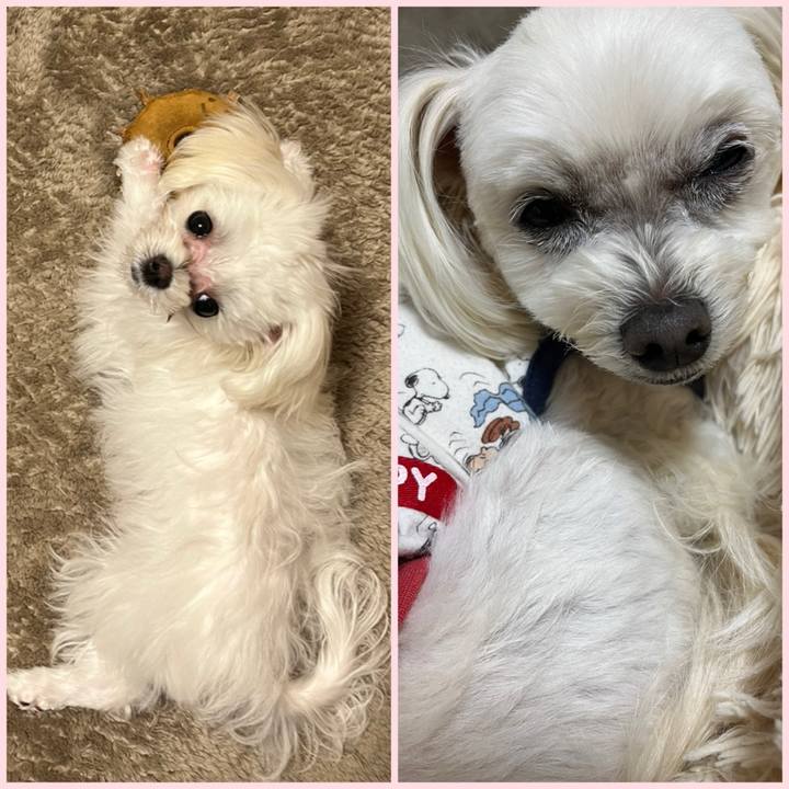 7fe035d1 8705 42e6 99cb b8e047c98400 1707481809803