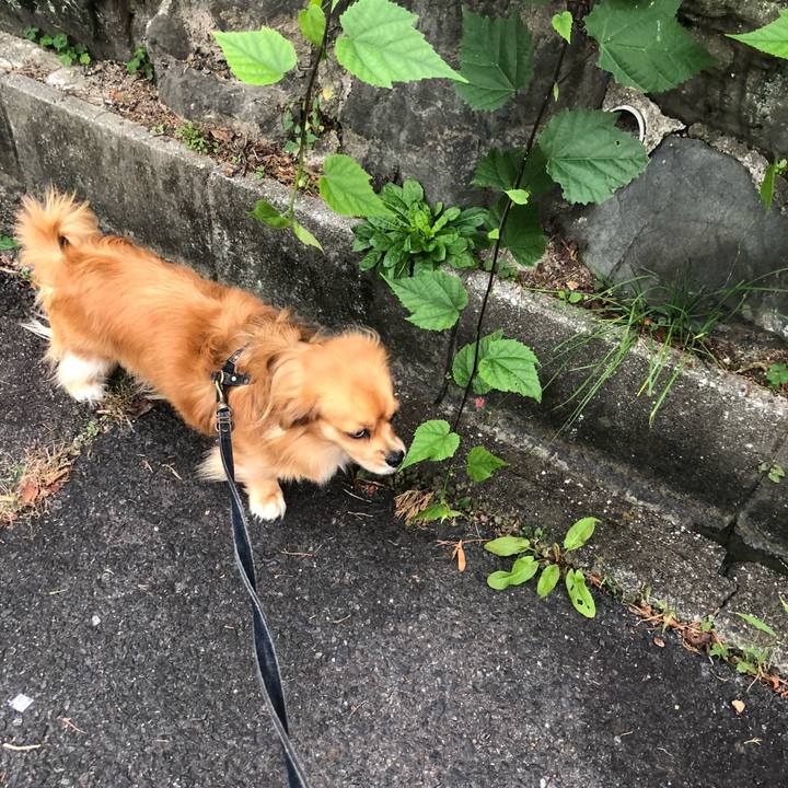 7fe0395a 7c63 4097 bf07 de7283d22027 1540244335134