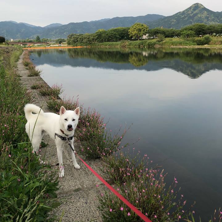 7fe03bed 2a76 4ded 93ad 19dcd5ec868a 1557871479853