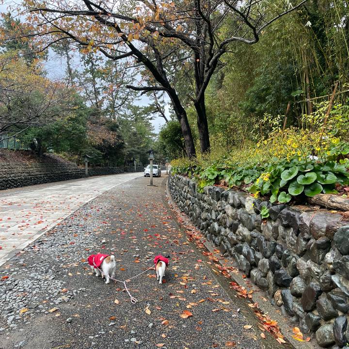 7fe05973 bd62 4f4d 8367 4a7466daa8a3 1636932141018