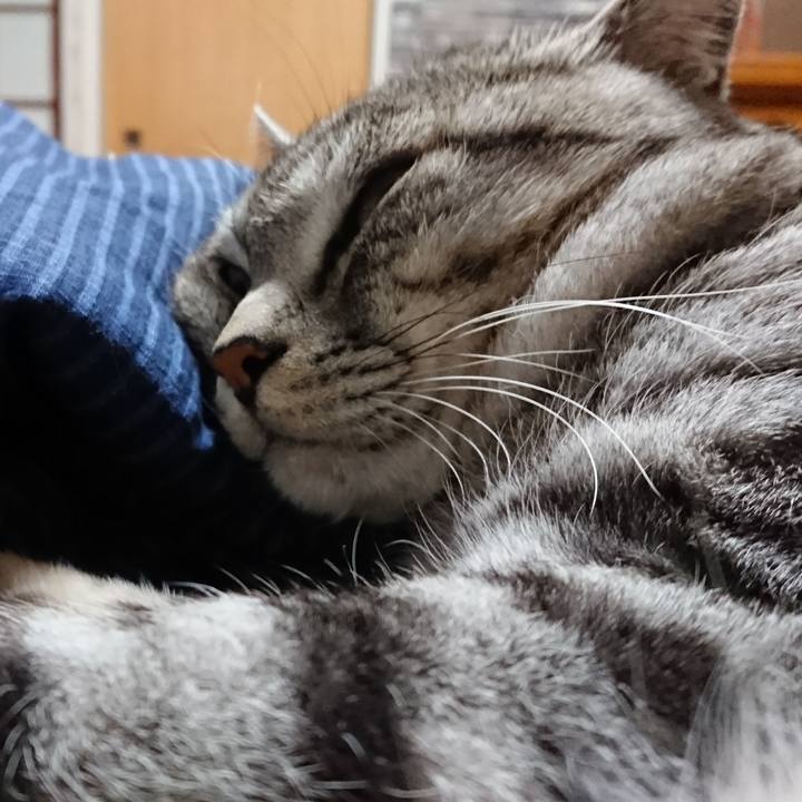 7fe083f6 e85e 4f45 b2f5 60d66e6db3fe 1546161988106