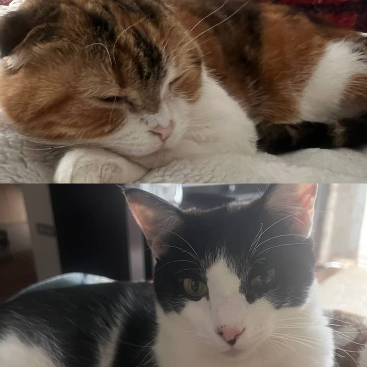 7fe0c60c a620 4397 b8e6 e9f78930531d 1641085649337