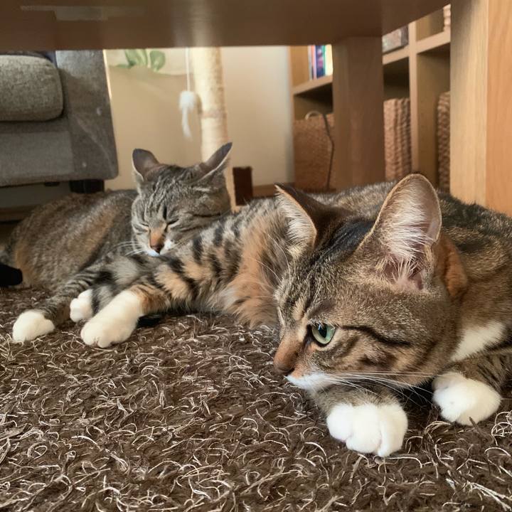 7fe1508b c648 4c87 943c 4c9429a3346b 1555488431768