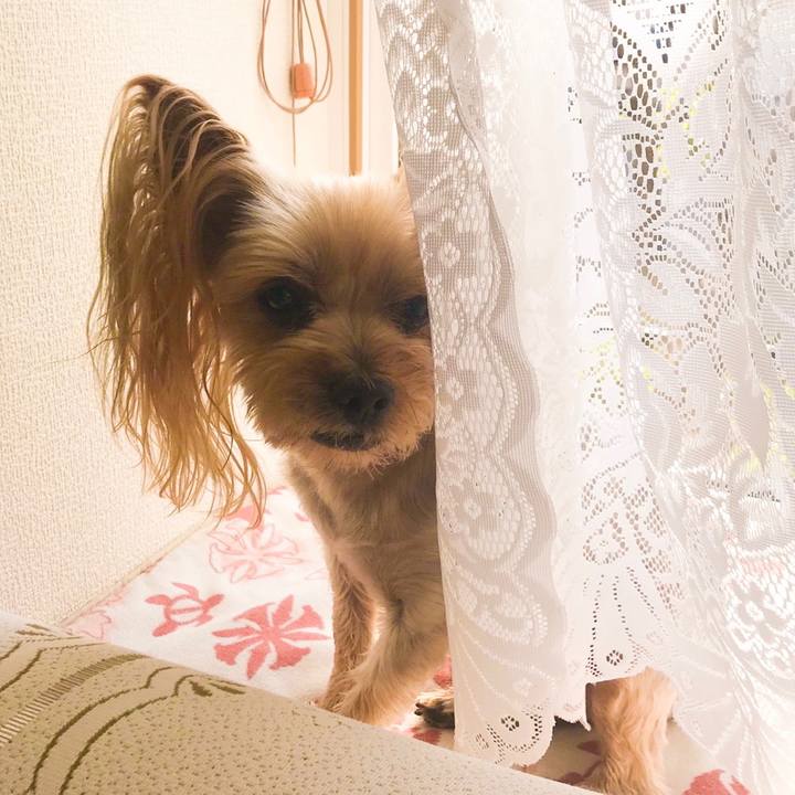 7fe15152 a830 4d99 a3d1 05957d12e4fe 1558600646436