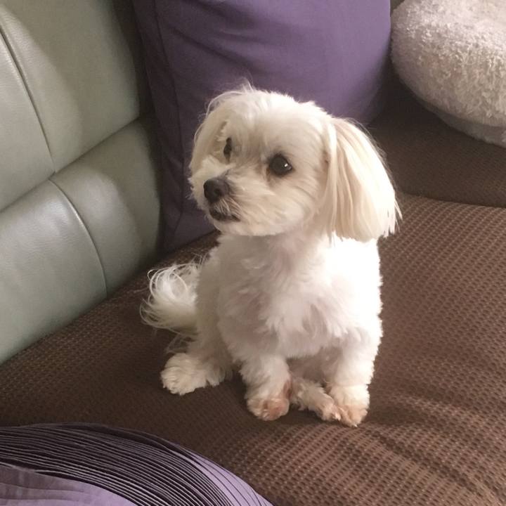 7fe177e6 fb8b 434a beec 0af39c97c65d 1527902389205