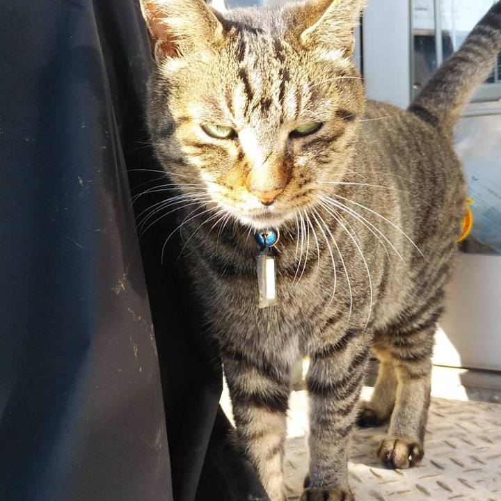 7fe1a48e dd1f 47b1 84ce 4c82eaec0e5a 1573517766299