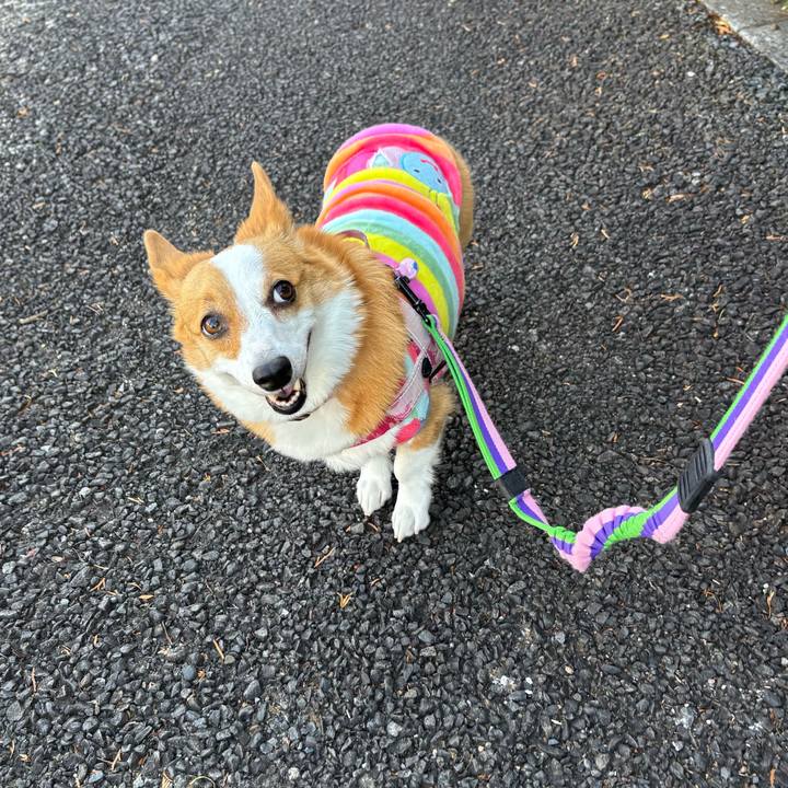 7fe1bbeb 7d72 44c4 89c0 1b850a7b1ea0 1765349704266