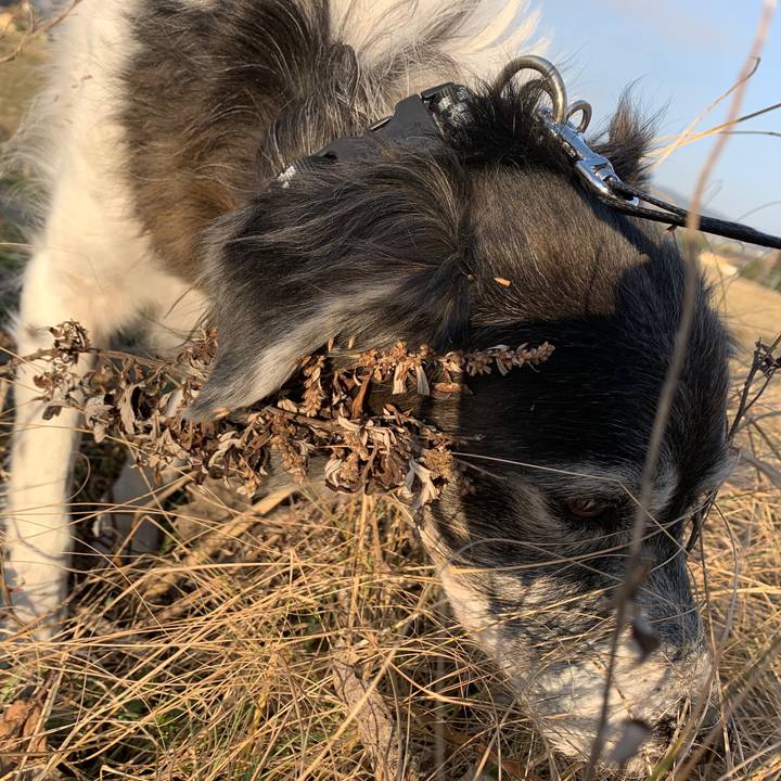 7fe1d980 3b60 4081 9ffa 0ca92c35f773 1579670086651