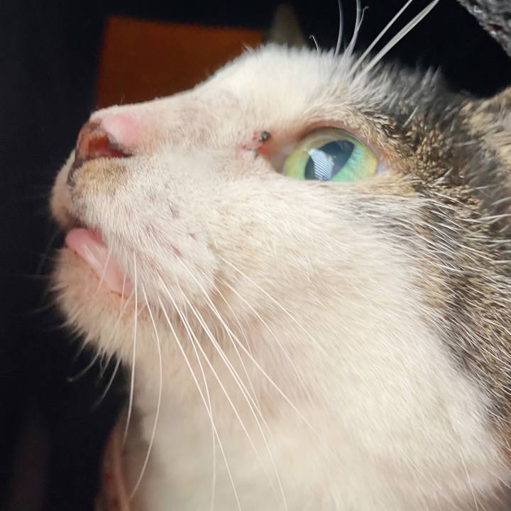 7fe20137 a19f 48b5 97e5 570bd2392fb1 1600656566451