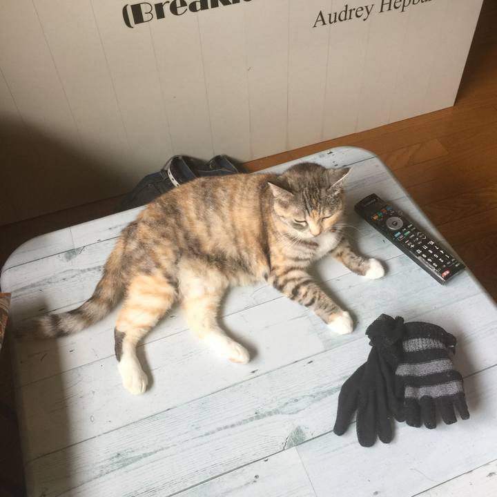 7fe2090e d7d4 410d aeb0 923da43500a7 1562121806175