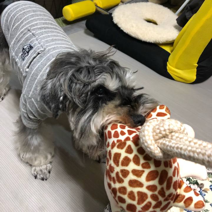 7fe21637 8606 40d0 92a7 51d8a45c6d6f 1575381198260