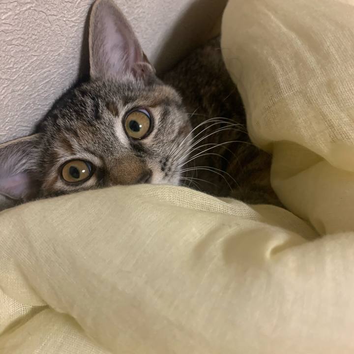 7fe24b92 5aae 4685 97f8 3ecc76809a7d 1595592535229