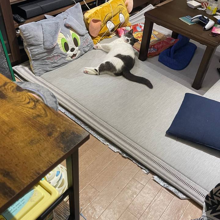 7fe24d51 306c 43af 83cb eab69c62d758 1753535639519